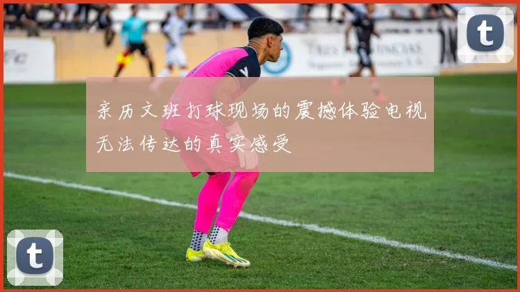 亲历文班打球现场的震撼体验电视无法传达的真实感受