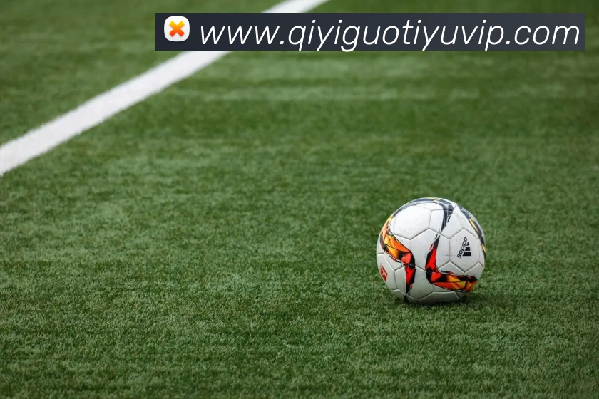 奇异果体育发展历程